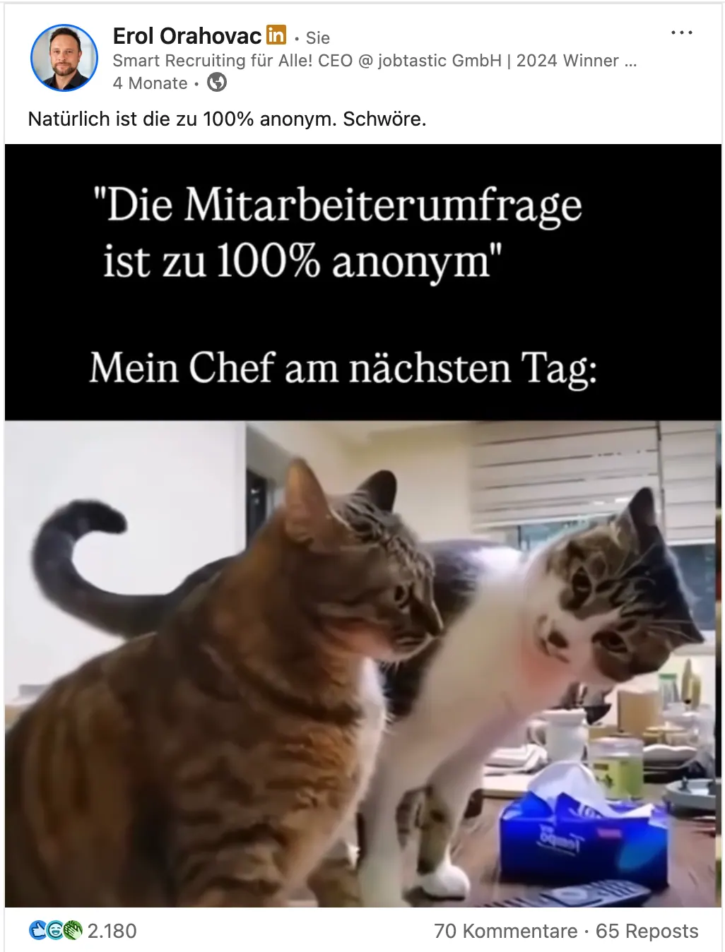 LinkedIn-Beitrag von Erol Orahovac: „Die Mitarbeiterumfrage ist zu 100 % anonym“ – mein Chef am nächsten Tag (Katzenbild)